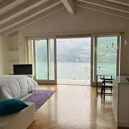 Dream View *